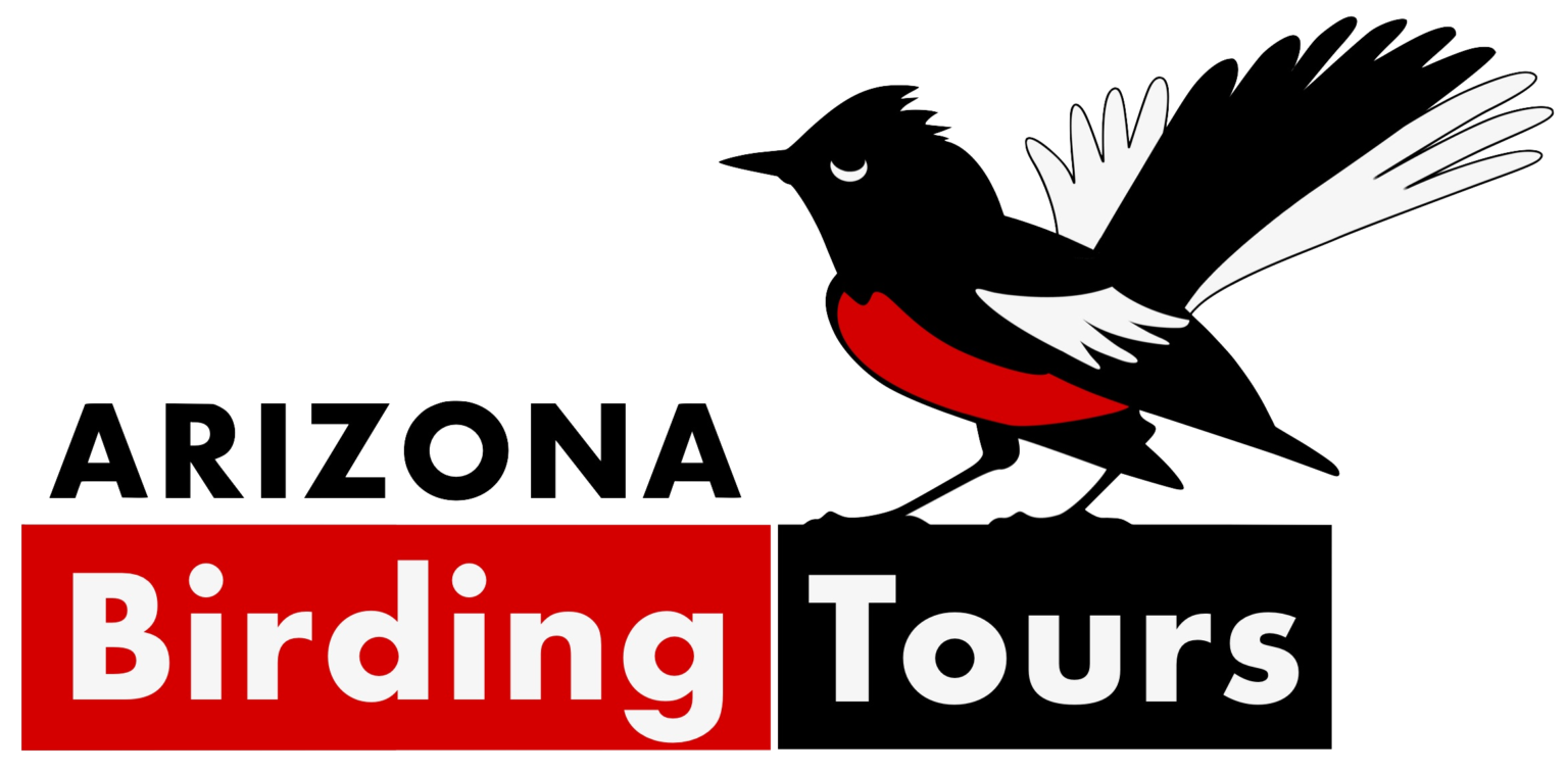 arizona birding tours feeders